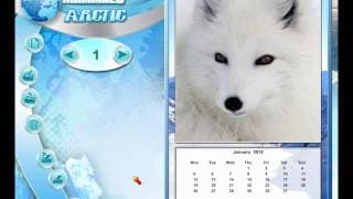 Wildlife Creative Studio PC Steam CD Key trailer 1