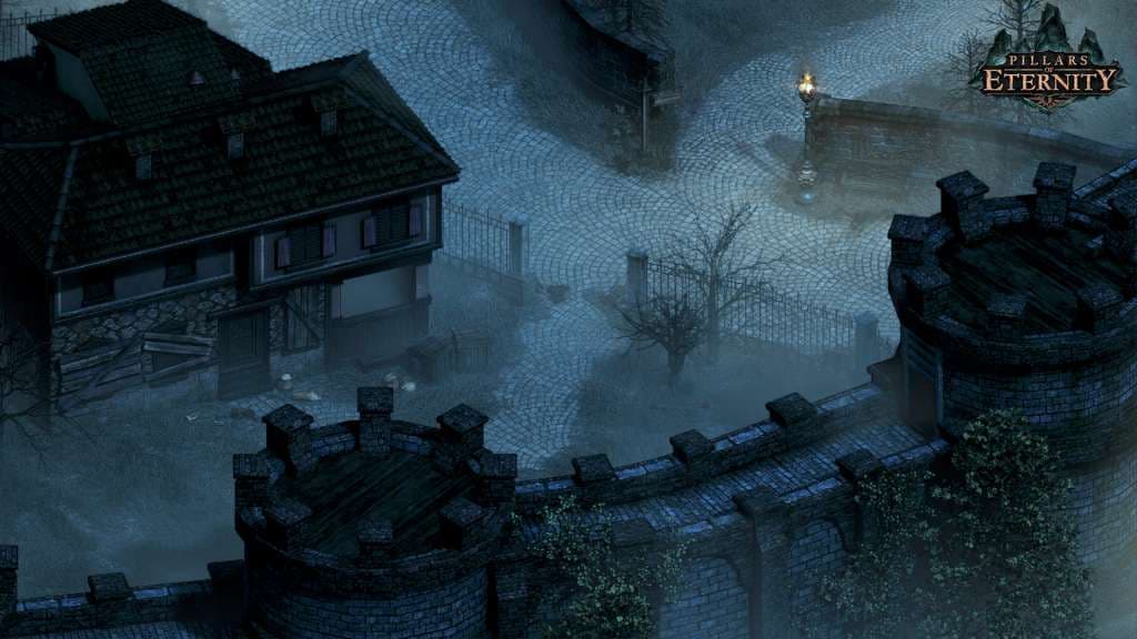 Pillars of Eternity Hero Edition GOG CD Key