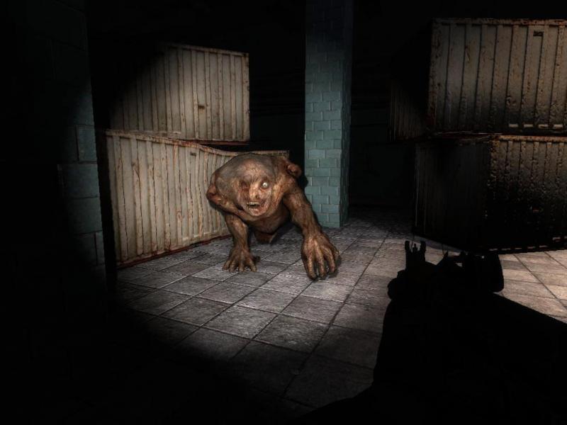 S.T.A.L.K.E.R.: Shadow of Chernobyl Steam CD Key screenshot 3