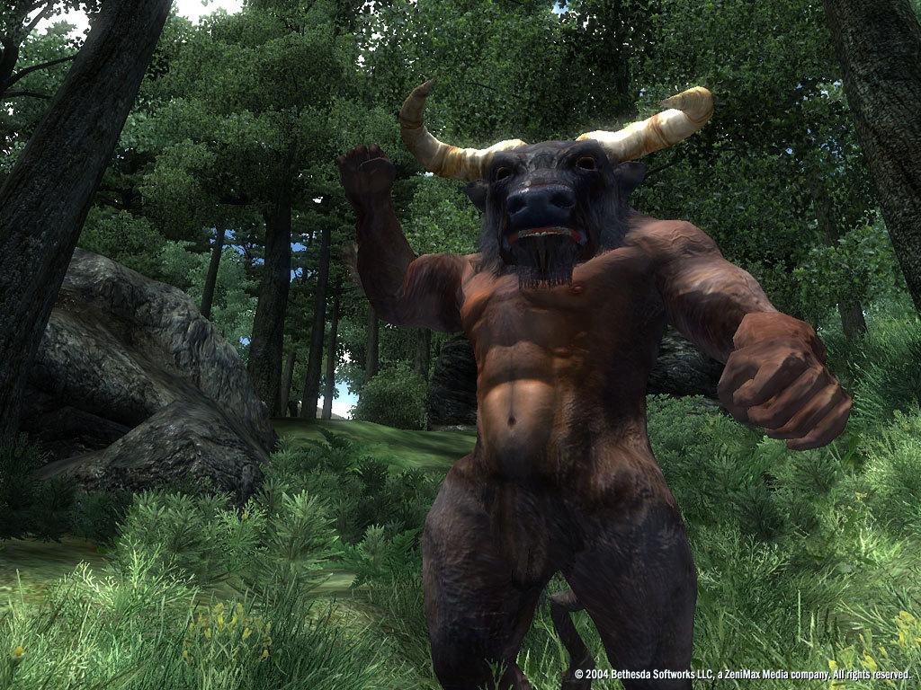 The Elder Scrolls IV: Oblivion GOTY Edition Deluxe PC Steam CD Key screenshot 5