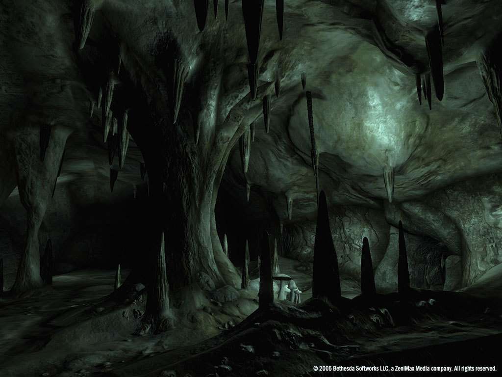 The Elder Scrolls IV: Oblivion GOTY Edition RU/CIS PC Steam CD Key screenshot 2