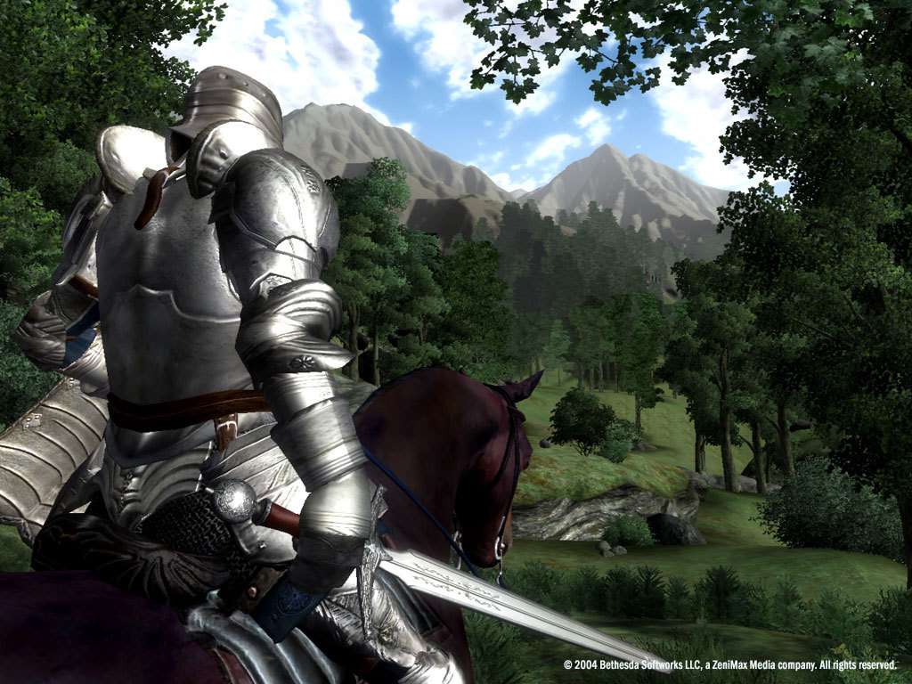 The Elder Scrolls IV: Oblivion GOTY Edition RU/CIS PC Steam CD Key screenshot 3