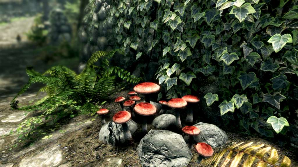 The Elder Scrolls V: Skyrim Special Edition EU PC Steam CD Key screenshot 4