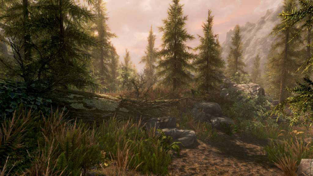 The Elder Scrolls V: Skyrim Special Edition CN PC Steam CD Key screenshot 5