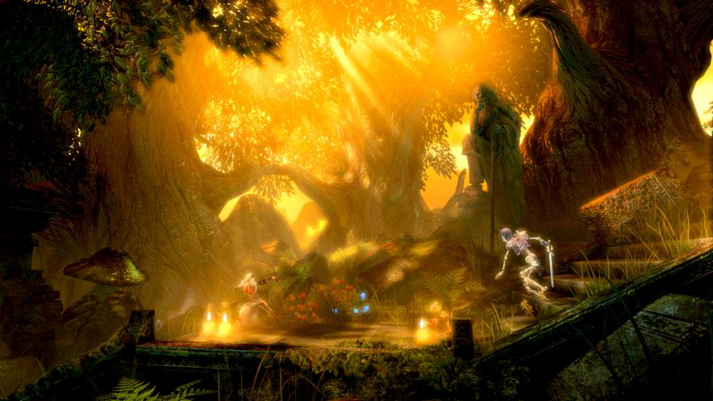 Trine Enchanted Edition GOG CD Key screenshot 4