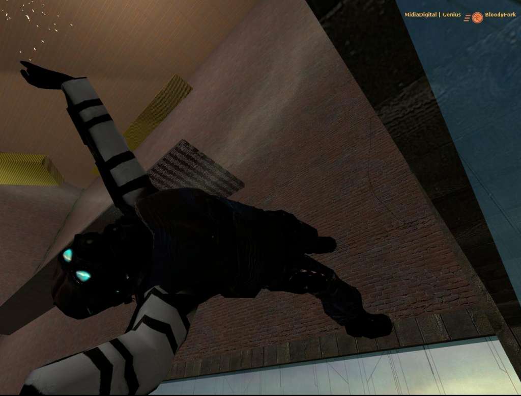 Half-Life 2 Steam Altergift screenshot 5