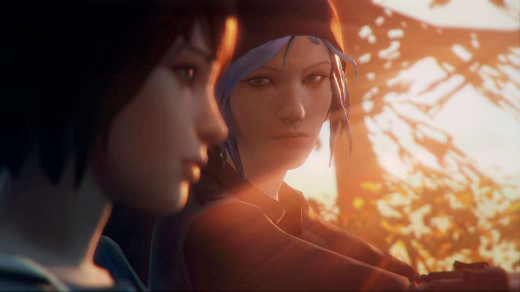 Life is Strange Season Pass (Episodes 2-5) PC Steam CD Key screenshot 3