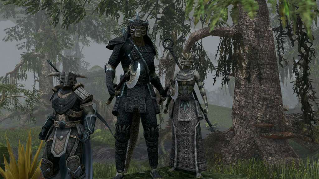 The Elder Scrolls Online -  Explorer's Pack DLC XBOX One / Xbox Series X|S CD Key screenshot 1