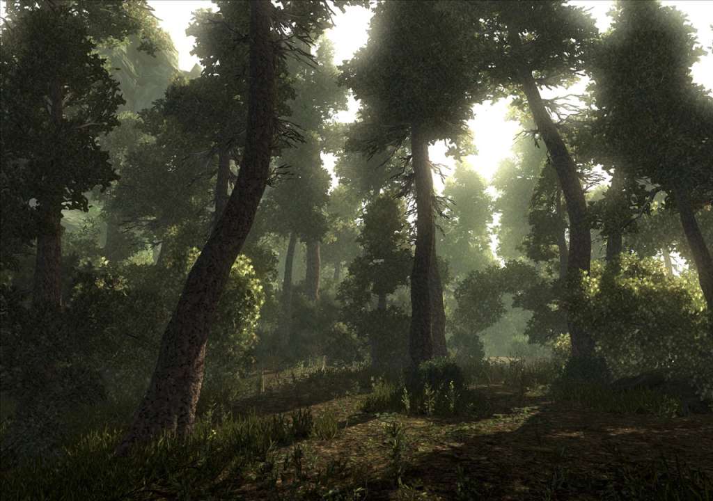 Risen GOG CD Key screenshot 4