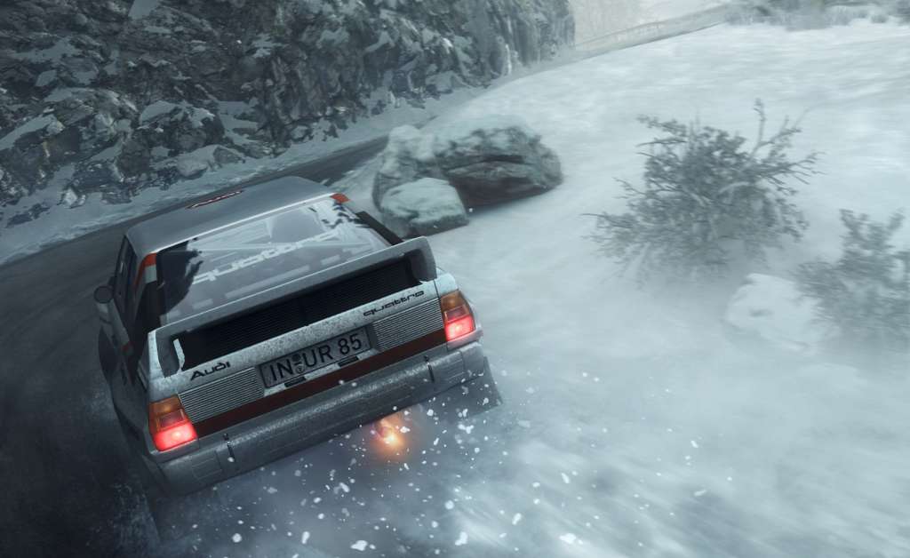DiRT Rally PC Steam CD Key screenshot 3