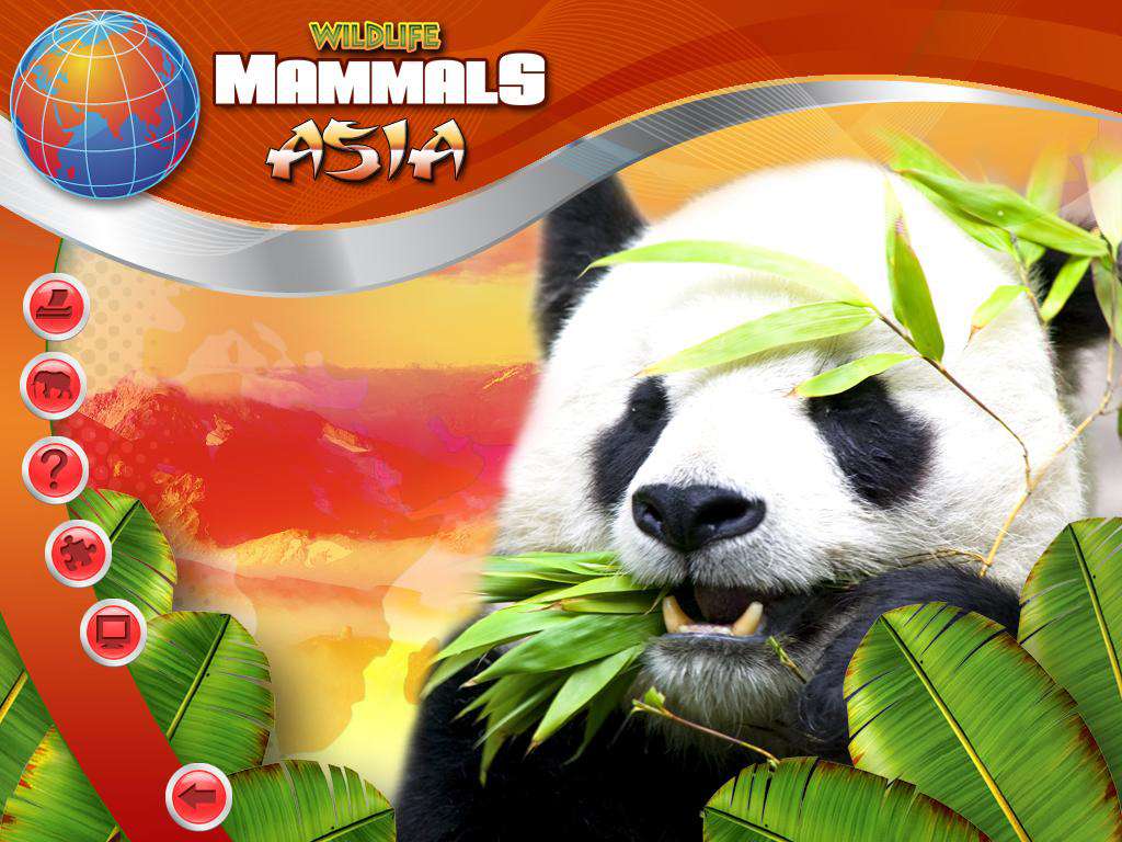Wildlife Creative Studio PC Steam CD Key screenshot 5