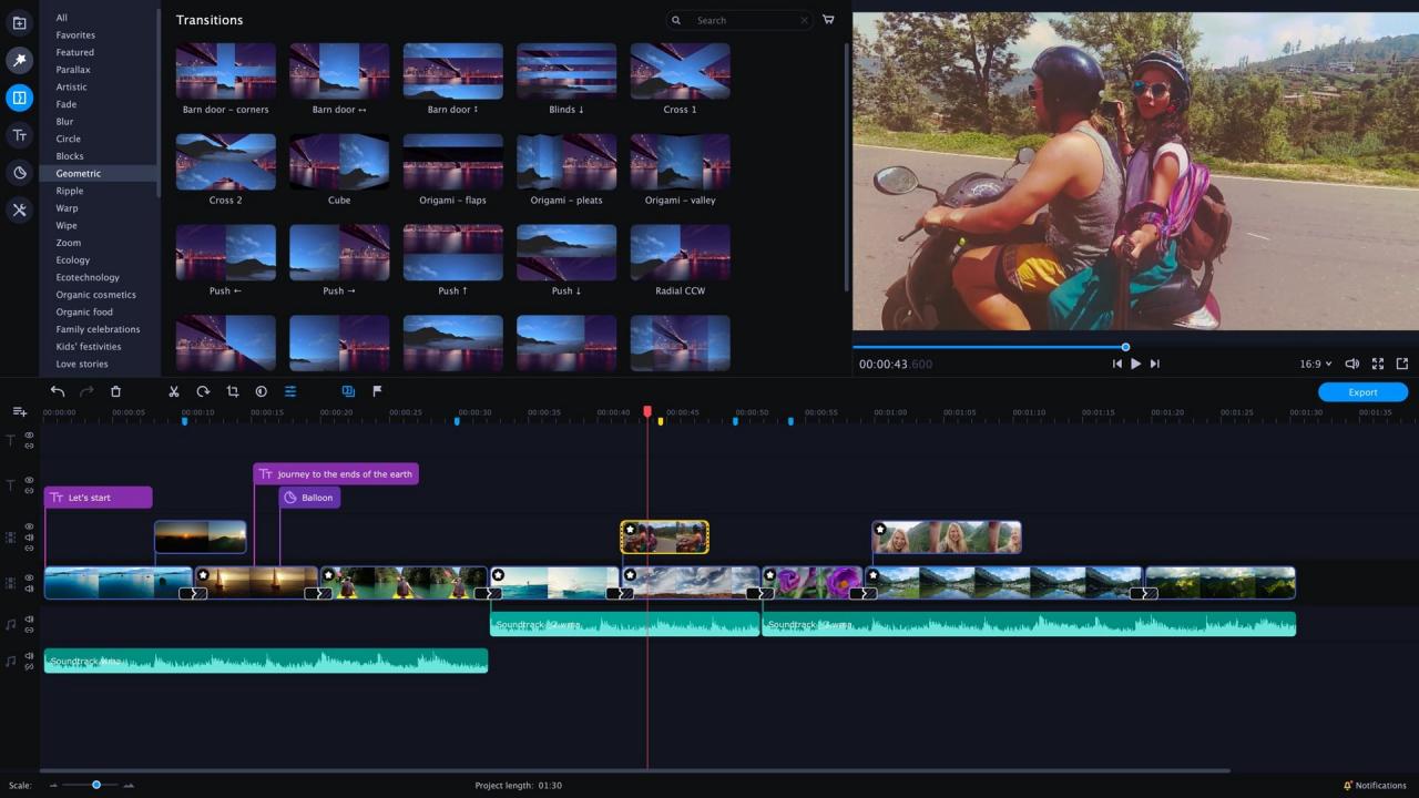 Movavi Video Editor Plus 2020 Steam CD Key screenshot 3