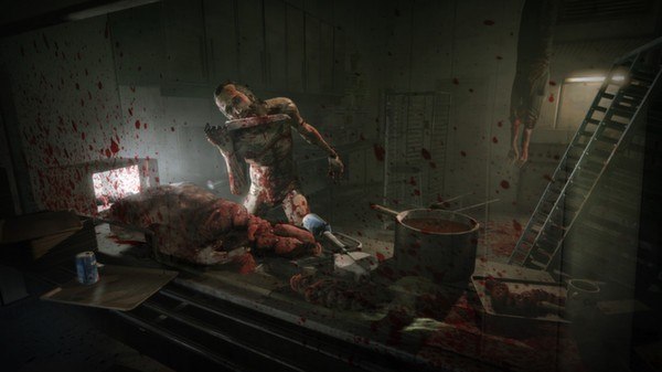 Outlast - Whistleblower DLC PC Steam Gift screenshot 4