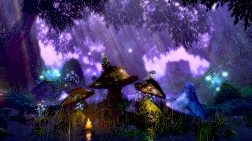 Trine Enchanted Edition GOG CD Key screenshot 5