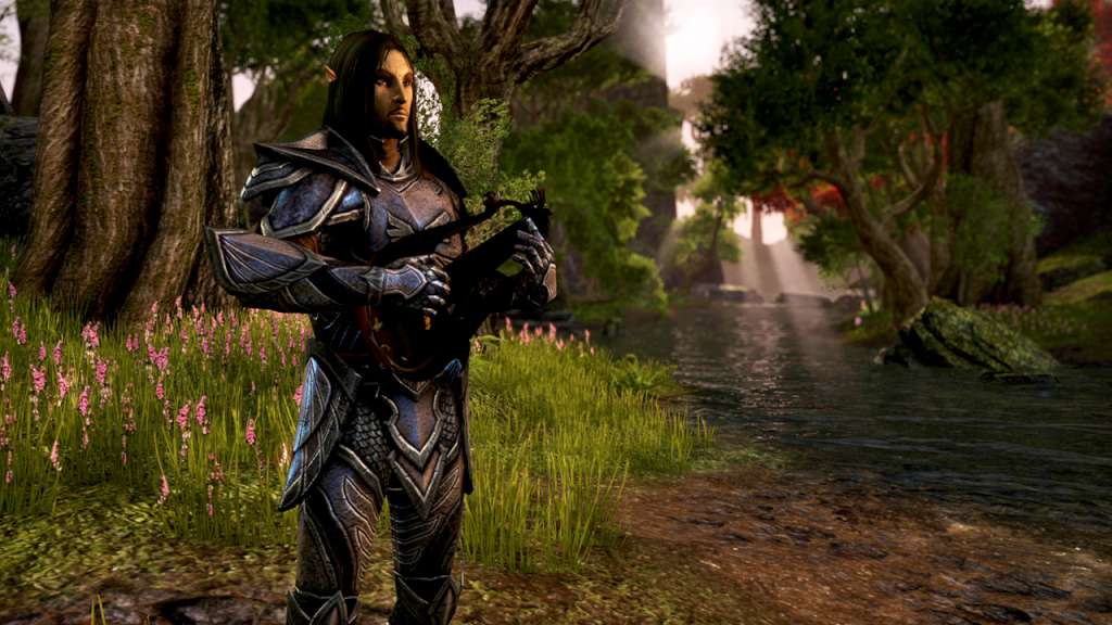 The Elder Scrolls Online -  Explorer's Pack DLC XBOX One / Xbox Series X|S CD Key screenshot 5