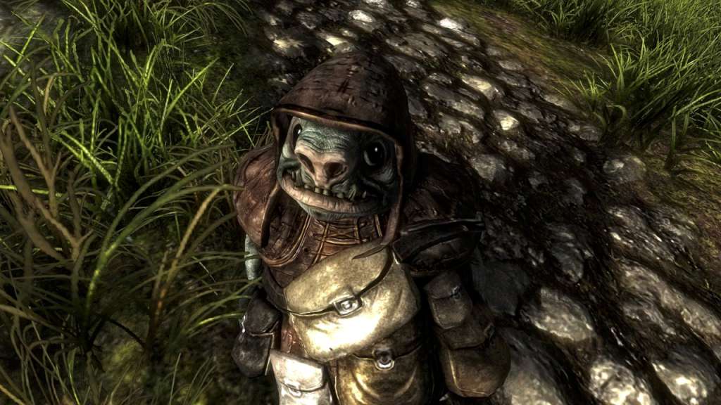 Risen GOG CD Key screenshot 3