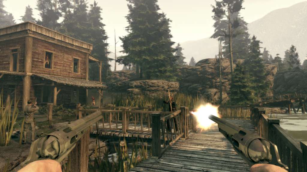 Call of Juarez: Bound in Blood GOG CD Key screenshot 6