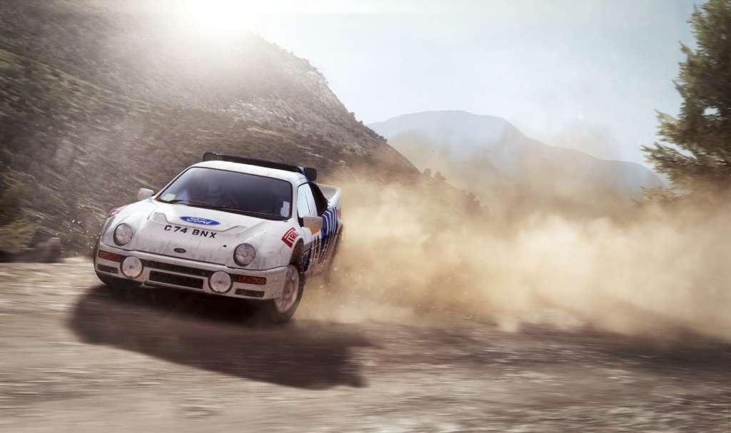 DiRT Rally PC Steam CD Key screenshot 6