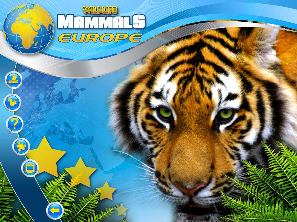 Wildlife Creative Studio PC Steam CD Key screenshot 4