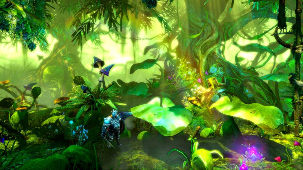 Trine 2: Complete Story PC Steam CD Key screenshot 5