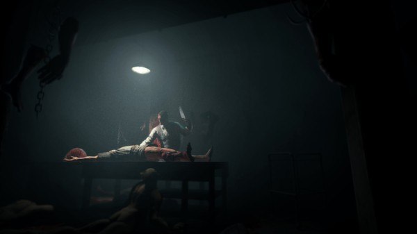 Outlast - Whistleblower DLC PC Steam Gift screenshot 3