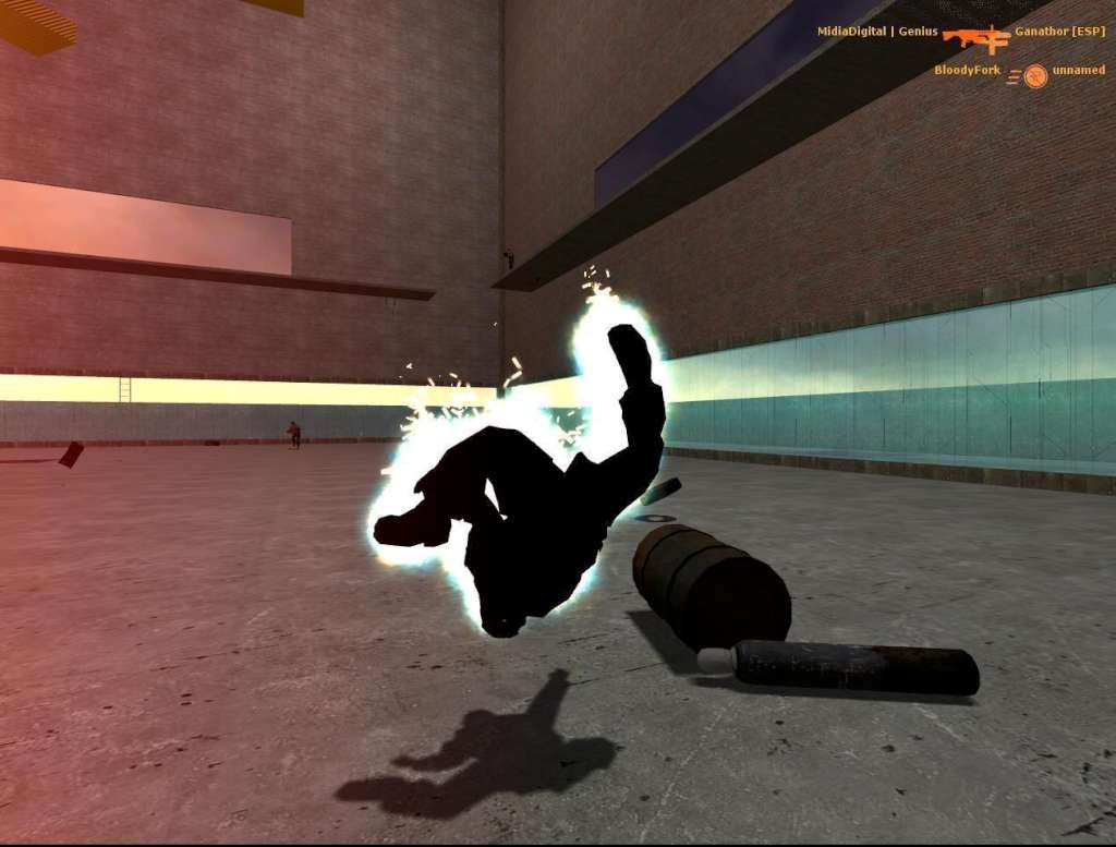 Half-Life 2 Steam Altergift screenshot 1