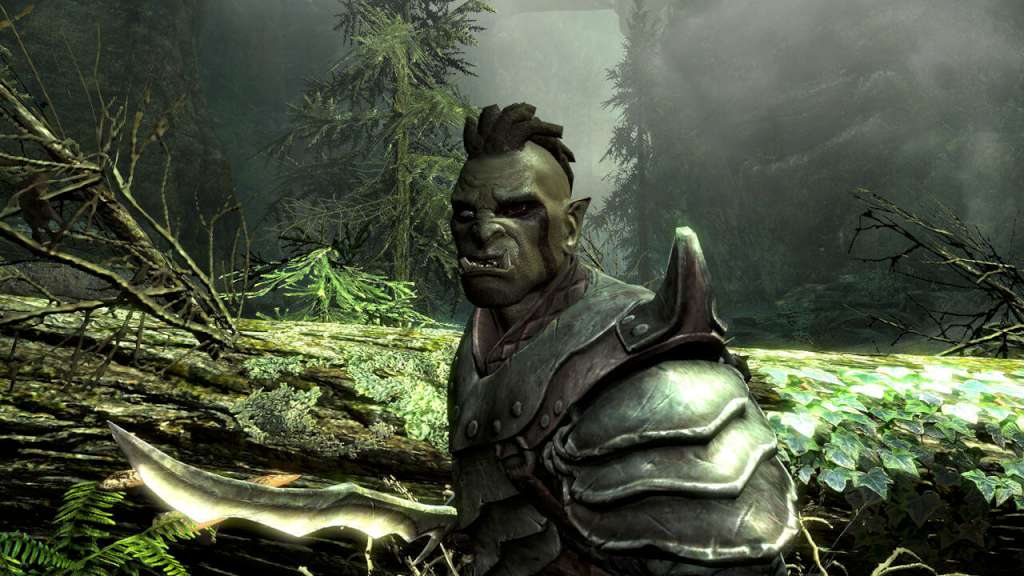 The Elder Scrolls V: Skyrim EU PC Steam CD Key screenshot 2