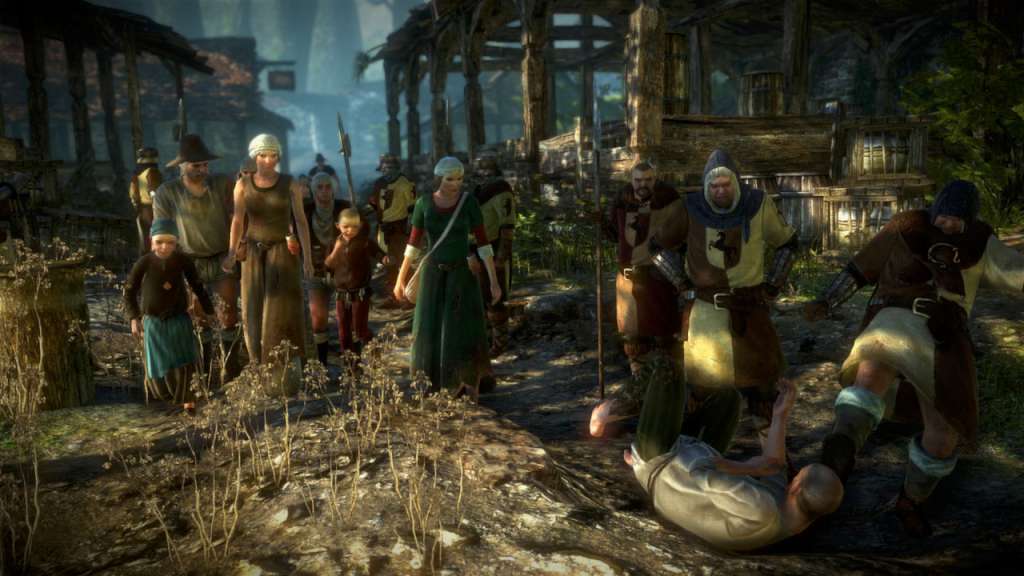 The Witcher 2: Assassins of Kings Enhanced Edition GOG CD Key screenshot 3