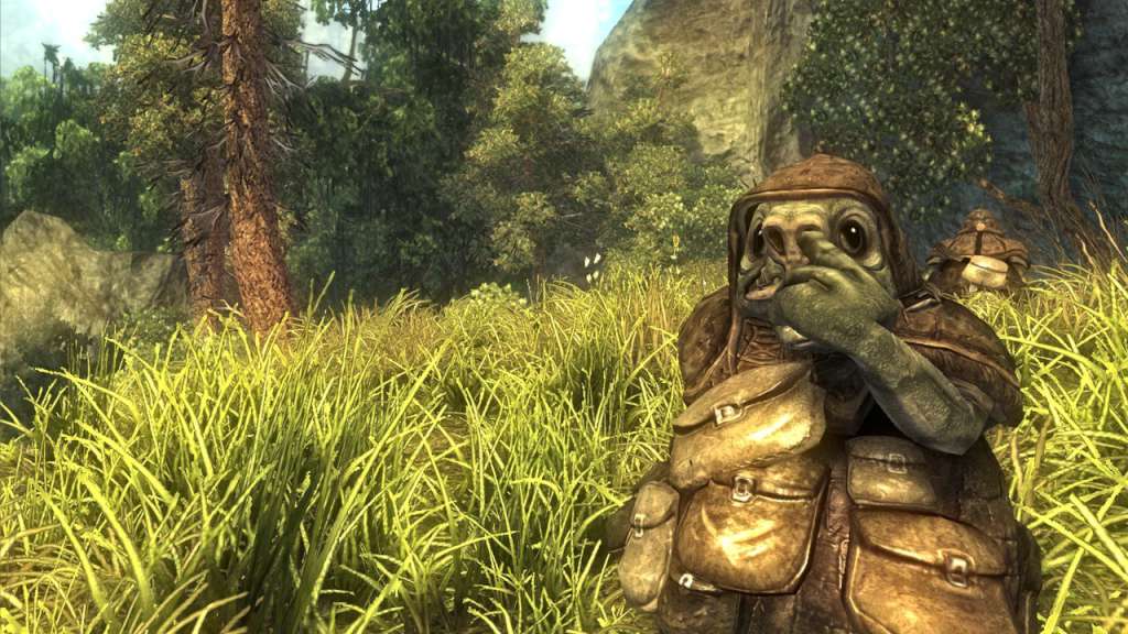 Risen GOG CD Key screenshot 1