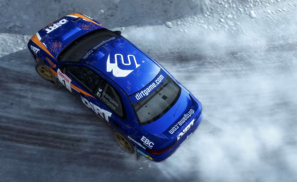DiRT Rally PC Steam CD Key screenshot 2
