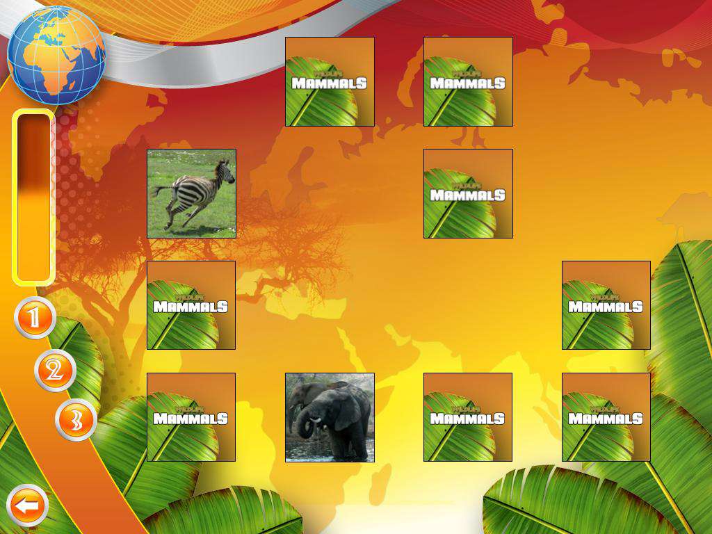 Wildlife Creative Studio PC Steam CD Key screenshot 3