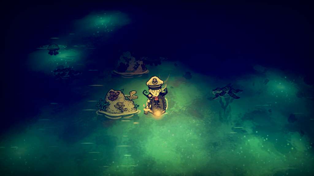 Don't Starve: Shipwrecked DLC GOG CD Key screenshot 4