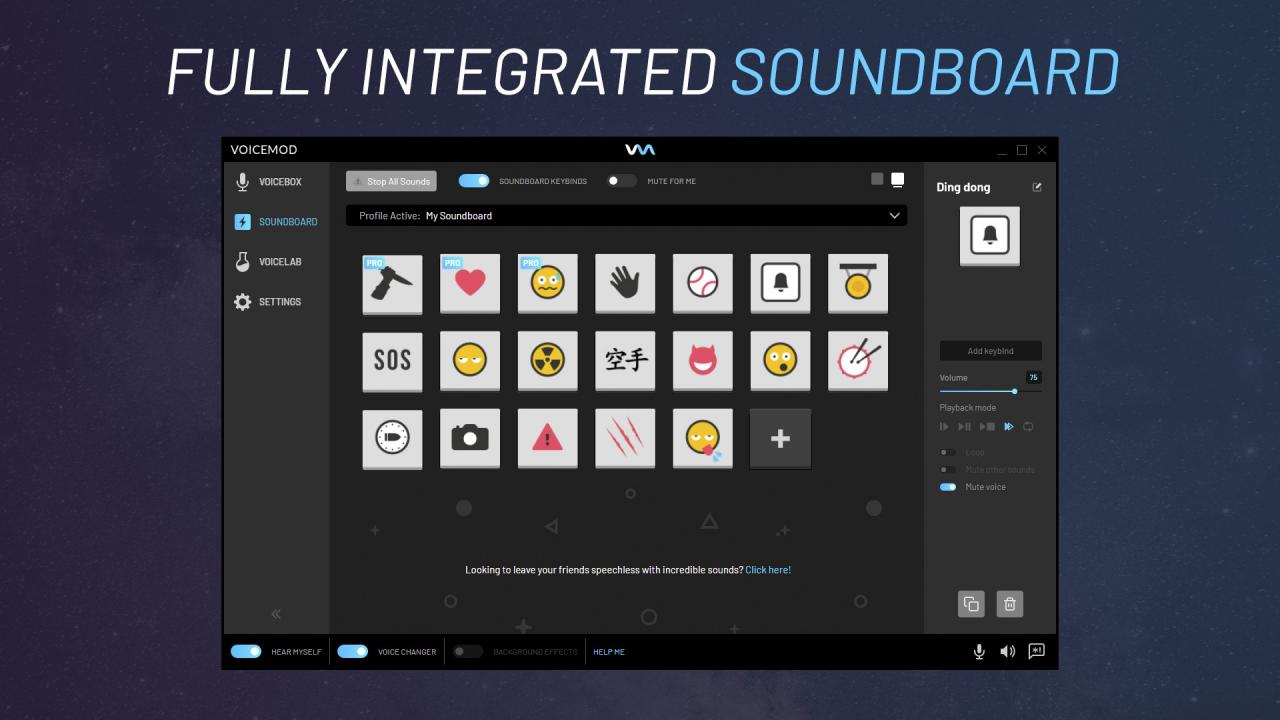Voicemod PRO - 1 Month Coupon Code screenshot 3