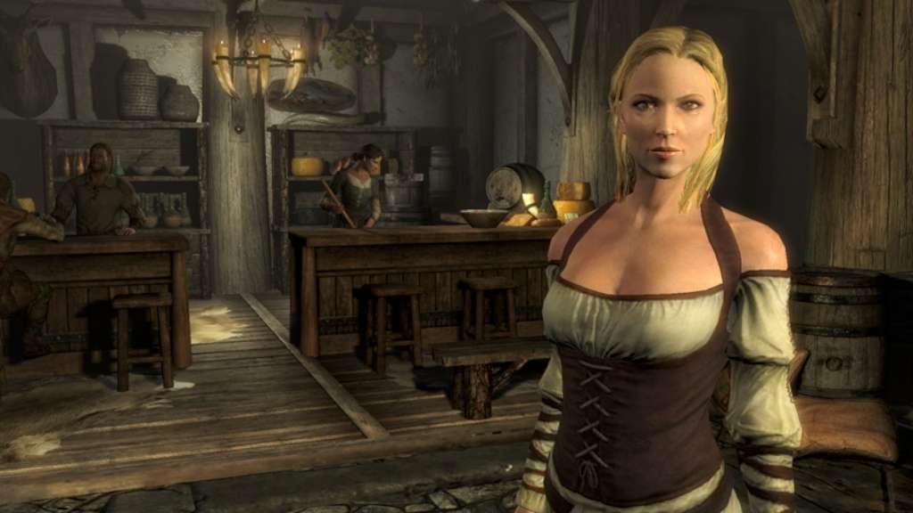 The Elder Scrolls V: Skyrim Legendary Edition EU (without DE, CH, NO, RS) PC Steam CD Key screenshot 4