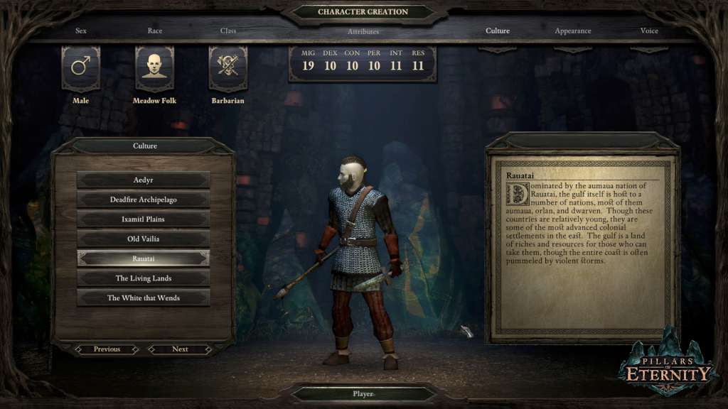 Pillars of Eternity Hero Edition GOG CD Key screenshot 2