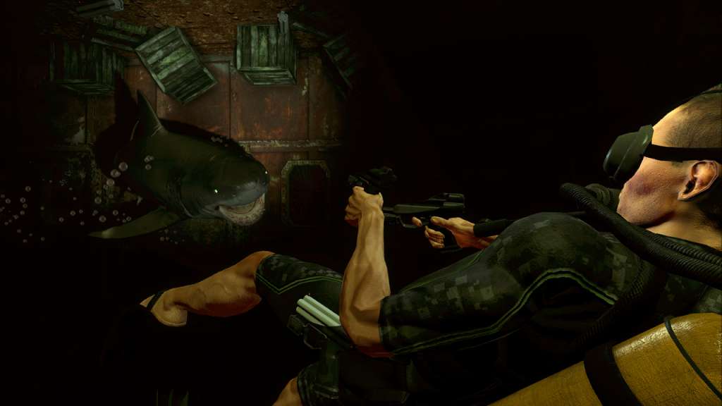 Depth Steam CD Key screenshot 1