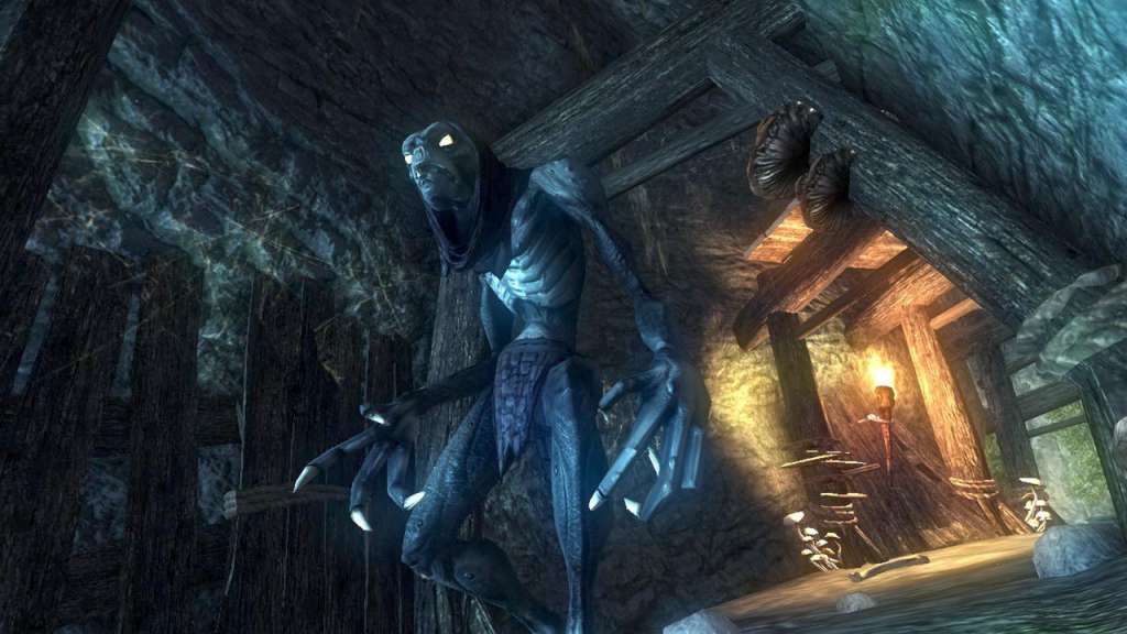 Risen GOG CD Key screenshot 2