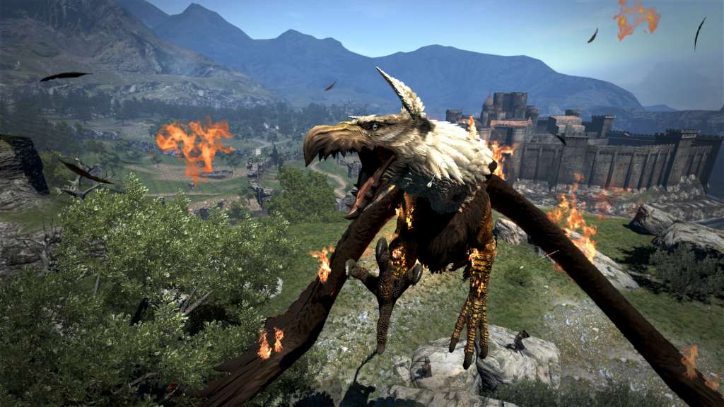 Dragon's Dogma: Dark Arisen GOG CD Key screenshot 1