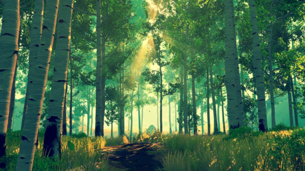 Firewatch GOG CD Key screenshot 3