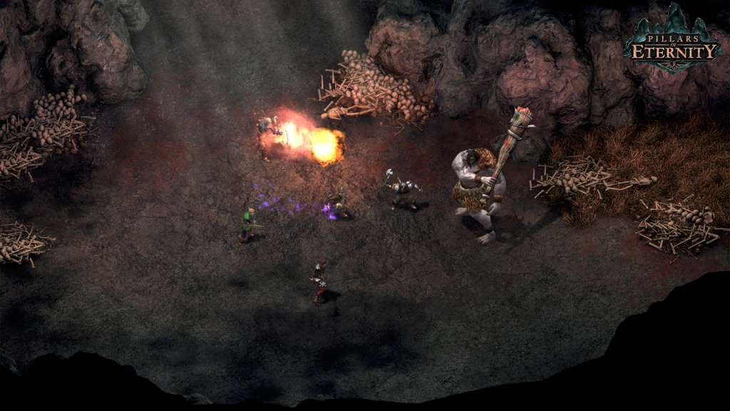 Pillars of Eternity Hero Edition GOG CD Key screenshot 1