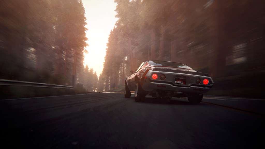 GRID 2 + Drift Pack PC Steam CD Key screenshot 2