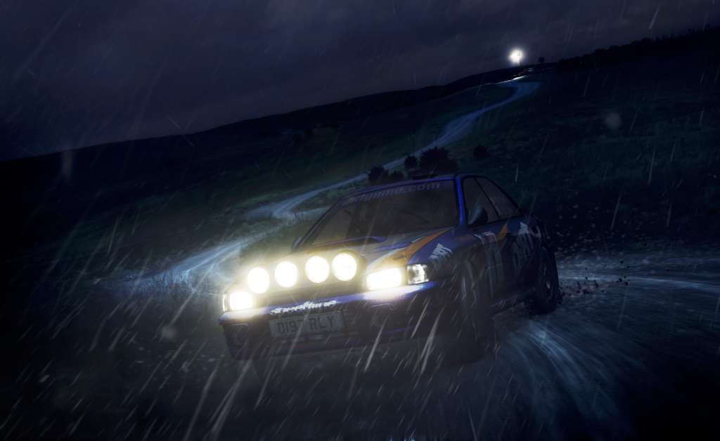 DiRT Rally PC Steam CD Key screenshot 5