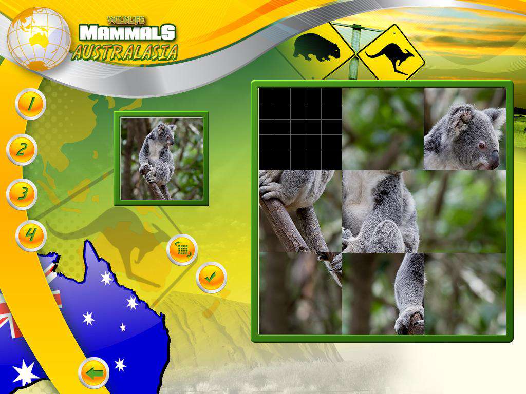 Wildlife Creative Studio PC Steam CD Key screenshot 6