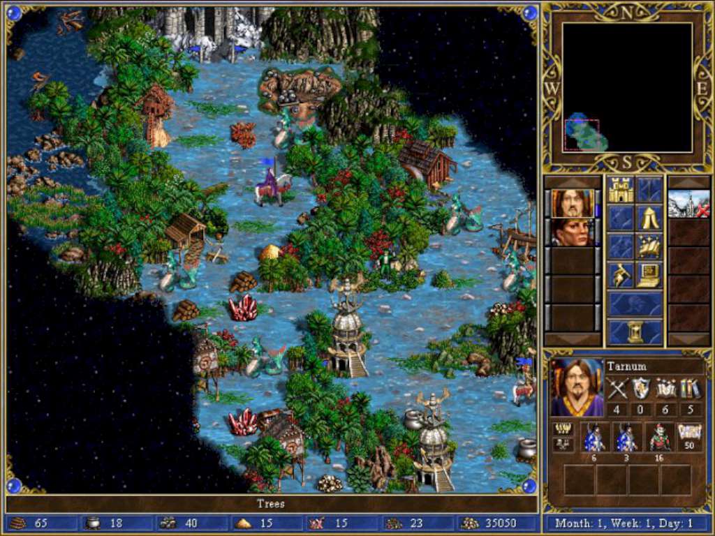 Heroes Chronicles: All chapters GOG CD Key screenshot 6