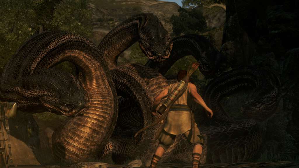 Dragon's Dogma: Dark Arisen GOG CD Key screenshot 2