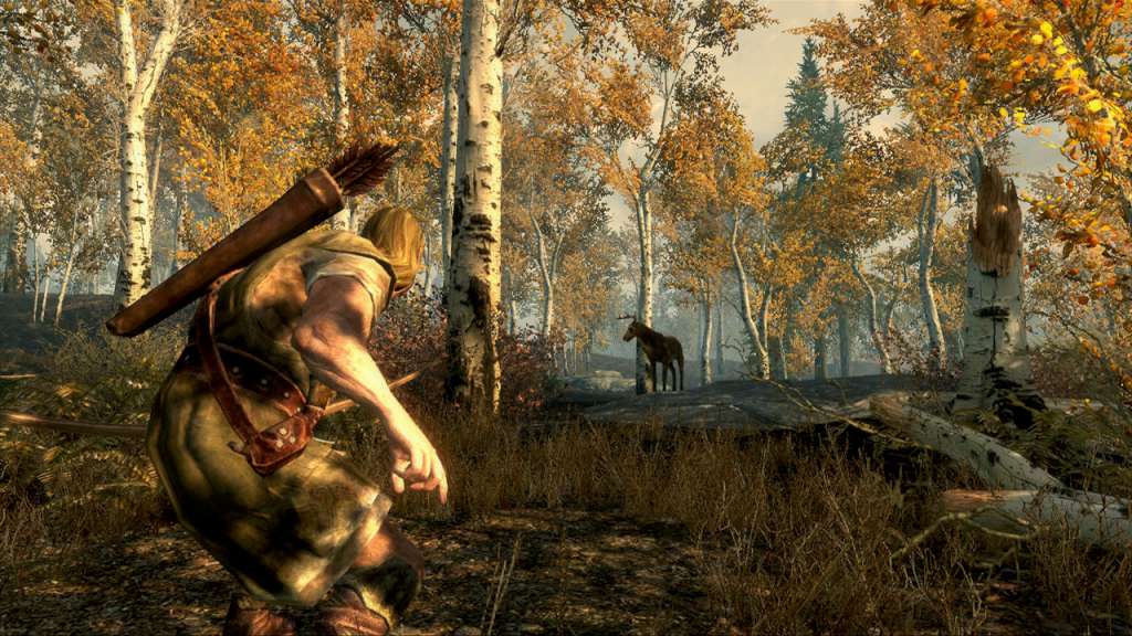 The Elder Scrolls V: Skyrim PL Language Only PC Steam CD Key screenshot 6