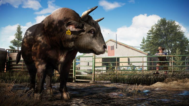 Far Cry 5 EMEA Ubisoft Connect CD Key screenshot 5