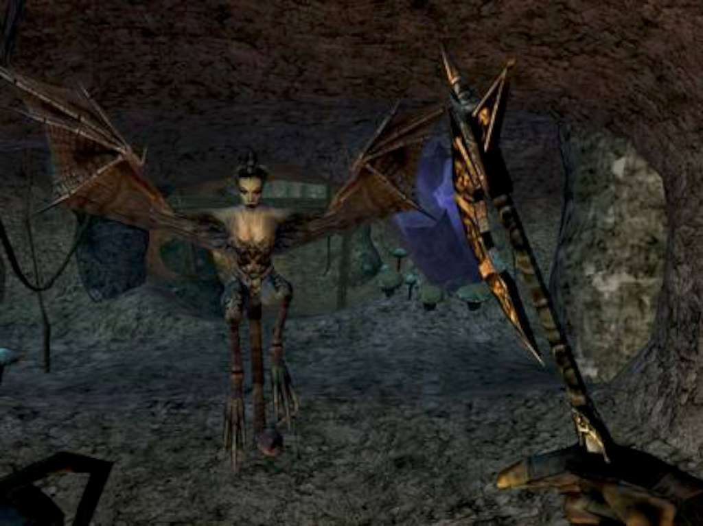 The Elder Scrolls III Morrowind GOTY EU Steam CD Key screenshot 4