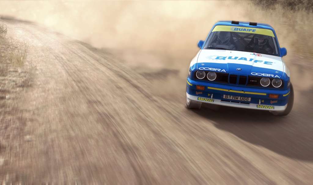 DiRT Rally PC Steam CD Key screenshot 4