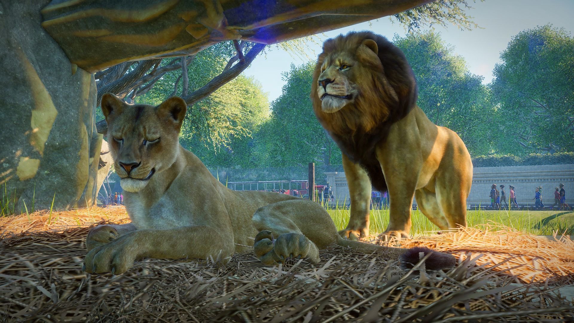 Planet Zoo - 5 DLCs Pack Steam CD Key screenshot 1
